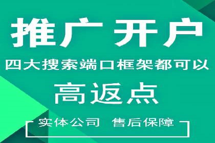 行业领先企业的网络推广与竞价经验